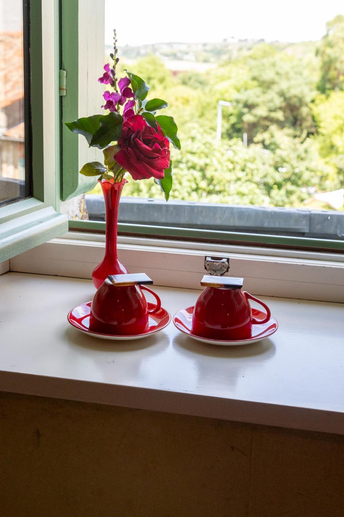 Le Domaine Du Meunier Hotel Mortagne-sur-Gironde Luaran gambar